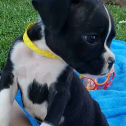 WhatsApp Image 2026-01-07 at 20.30.39