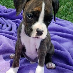 WhatsApp Image 2026-01-07 at 20.31.09