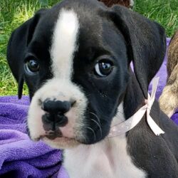 WhatsApp Image 2026-01-07 at 20.31.10