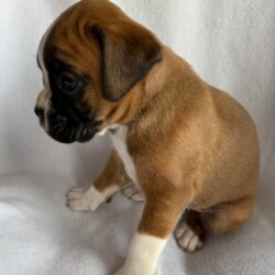 FB_IMG_1768218326845